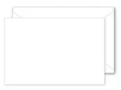 #EN5602 -#56 Non-Window Envelopes (4.5″x3″) Box of 500