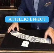 Attillio Effect – 48 – DMC