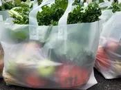 Workplace Wellness/Corporate CSA