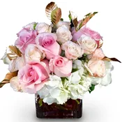 Dream Rose By Newport Florist NF269