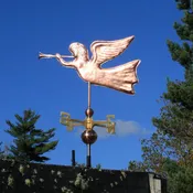 Angel 118
