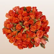 Alegria Spray Roses Orange
