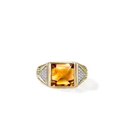 Artisan Series Icon Stud Ring|RGS972291MCIDI