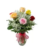 6 MULTI COLORED ROSES