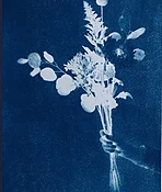 Artist Series by Adriana Keech — A Little Photo Studio design and print services