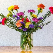 Groovy Blooms