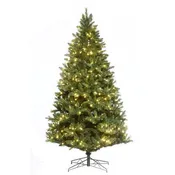 10' Mixed Noble Tree