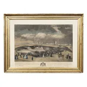 Framed Print of a Fin Whale