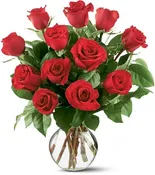 1 Dozen Red Long Stemmed Roses