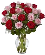2 DZ RED AND PINK ROSES