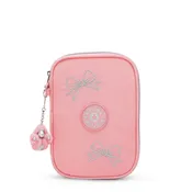 100 Pens Case