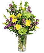 CHEERFUL JUBILEE