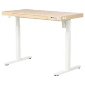Apex Adjustable Height Desk