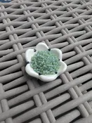 11/0-F374G Aqua Lined<br>Green Matte