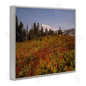 Aaron Matheson | Mountain Meadow Scenery Wall Art