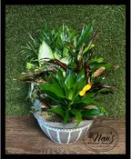 10" CERAMIC DISH GARDEN