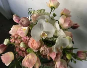 Rosey Posey — belle flower