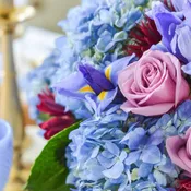Seasonal Designer's Choice