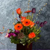 A Composition Creation