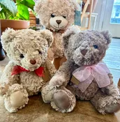Large Teddy Bear — The Natural Nook Flower Shop