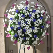 Daisy Wreath - W60020