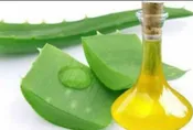 Aloe Vera Powder, Organic