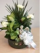 10" CERAMIC DISH GARDEN