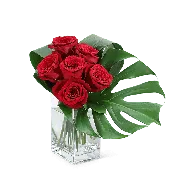 Modern Roses (6)
