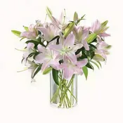 Ooh-La-La Lilies
