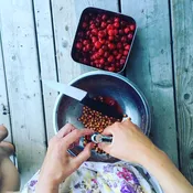 Sour Cherry Quince Jam — V Smiley Preserves  | Honey Jams, Marmalades, and Preserves from Vermont
