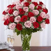 4 Dozen Pink & Red Rose Vase