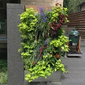 24 Pocket Wall-Mounted Living Wall System