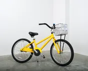 Youth (Single-Speed)