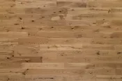 ALIANO