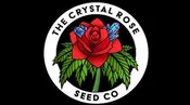 Crystal Rose - Smelly Jelly