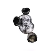 Abstract Sculpture