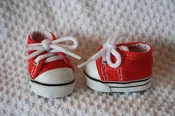 Low Cut Sneakers