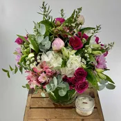 Peony Harmony ( DB)