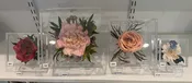 Acrylic Boxes