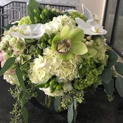 Divine White and Green