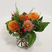 Delightful Dahlias
