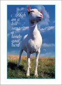 Goat Herd Birthday Card