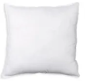 100% Polyester Square Pillow Insert - 22" x 22" - White