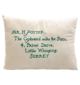 Acceptance Letter Cushion