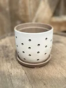 Hallie Dot Planter (White Chocolate) 5.5″