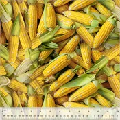 A La Carte Corn