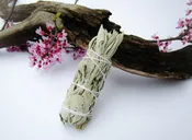 White Sage Smudge Stick 4"