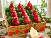 Holiday Red Pears
