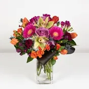Bright Splendor