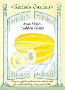 Asian Melons - Golden Giant